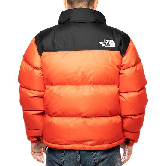 The North Face Puffer Jacket - 0000Art